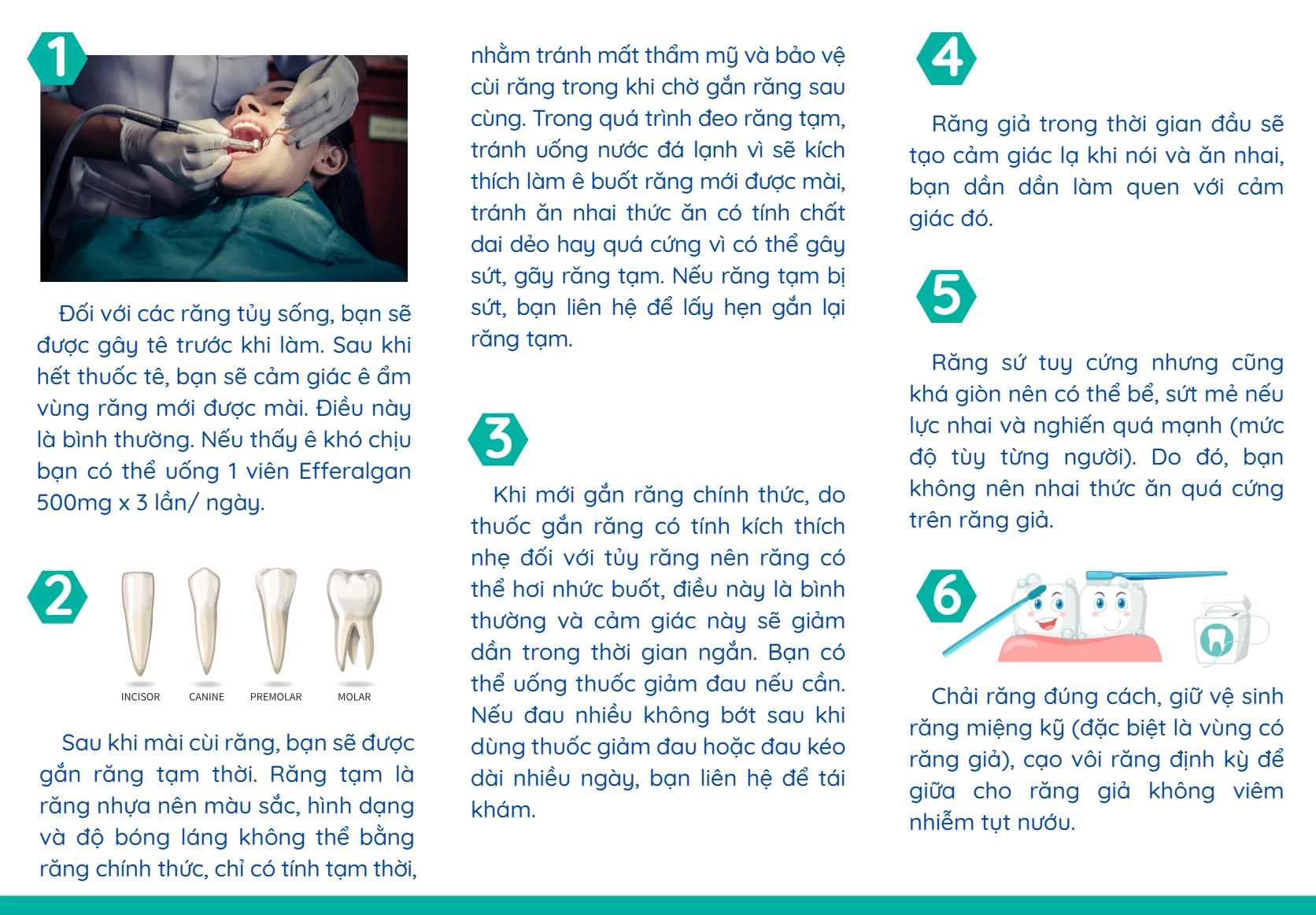 8.PTRHM Rang su co dinhp_2.webp